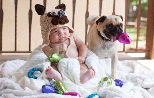 pugs good with kids