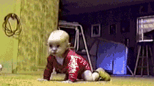 giphy-5.gif