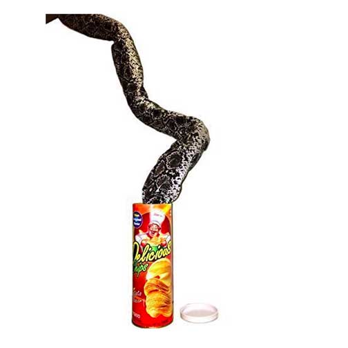 Snake In A Can!!! (Copy)