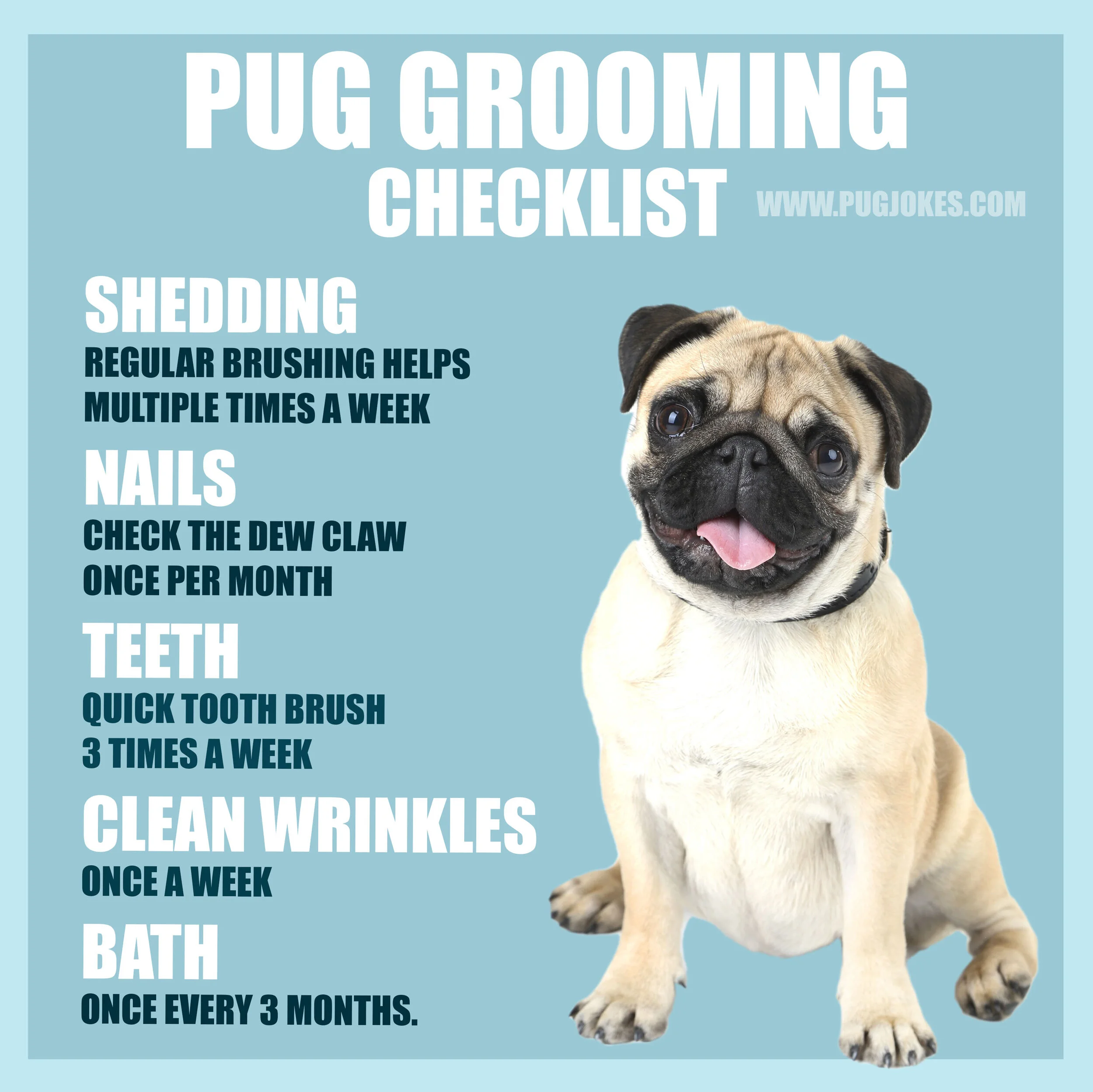 https://images.squarespace-cdn.com/content/v1/594974c0e58c62484cbd42f9/1602167954715-KCOKJBE31GWT9HI99XL6/pug%2Bgrooming%2Bchecklist%2Binfographic%2Bhow%2Bto