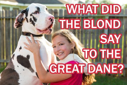 60 Clean Dog Jokes For Kids! — WEIRD WORLD