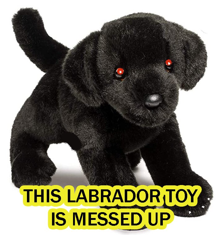 27 Black Lab Dog Jokes — WEIRD WORLD