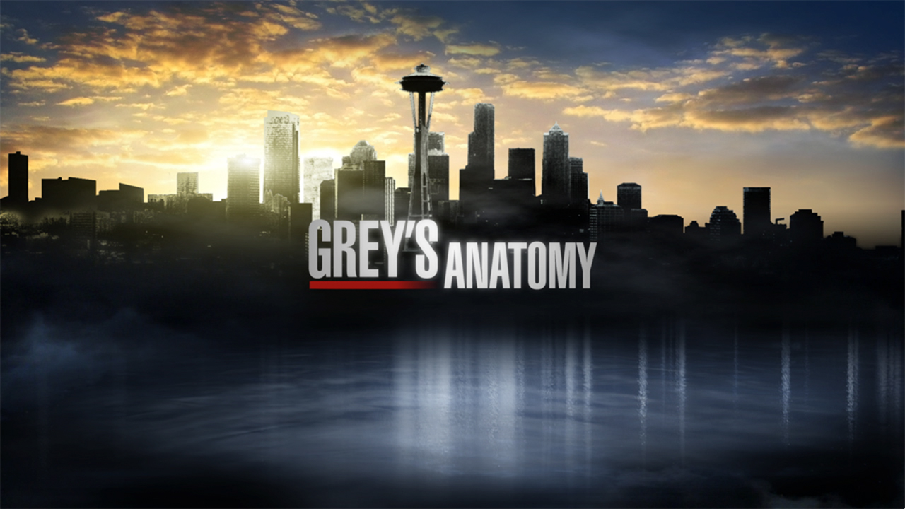 2006:2007-GreysAnatomy.jpg