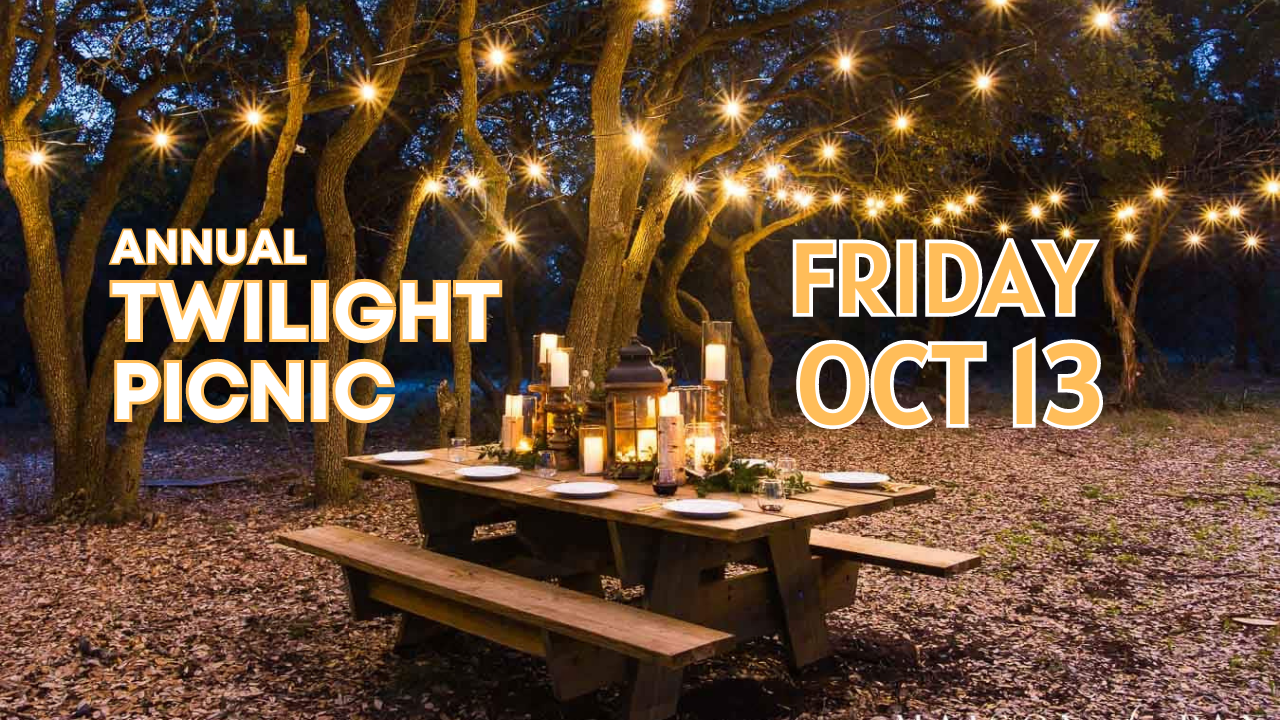 Annual Twilight Picnic — The Santa Cruz Symphony League