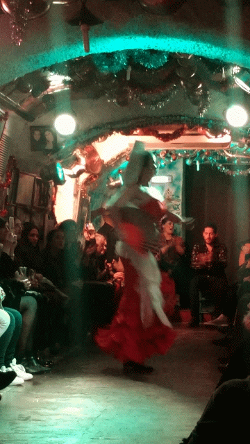 VID_20171223_230824-ANIMATION.gif