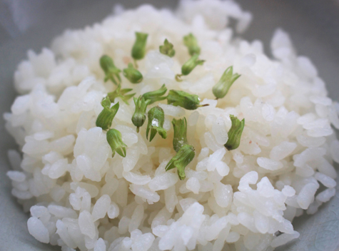 shiso-rice-close.jpg