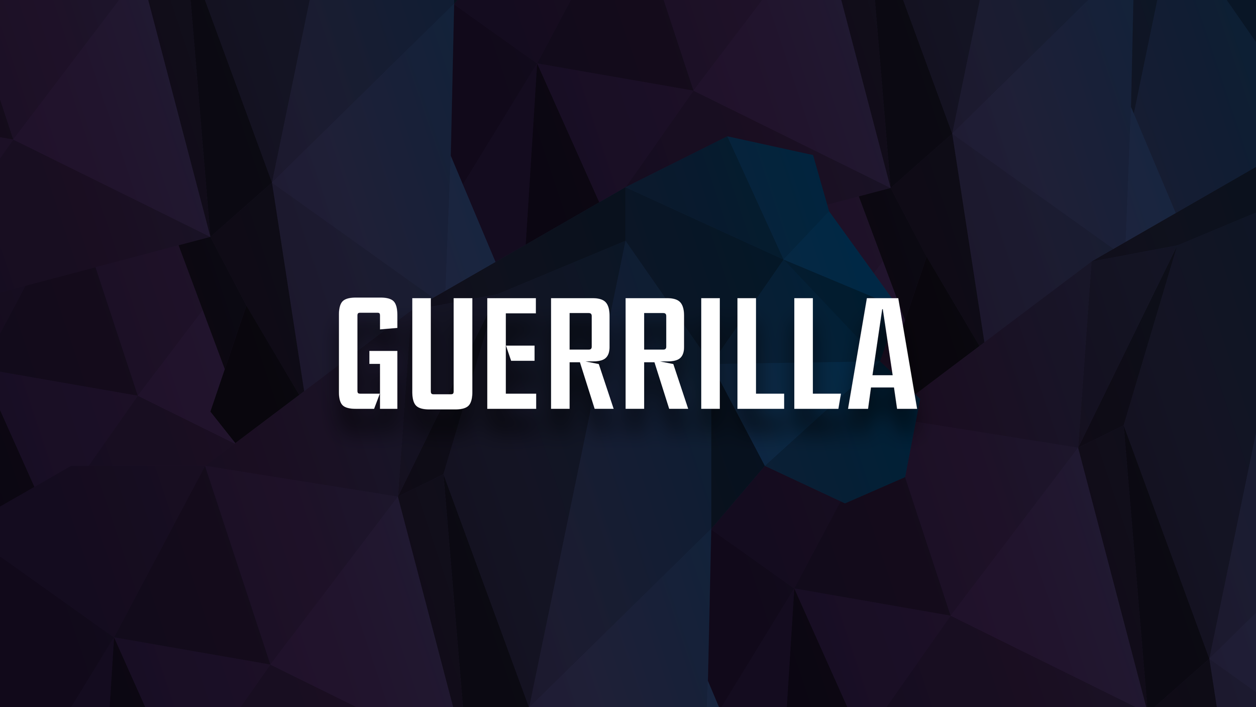 Guerilla_Portfolio_cover.png