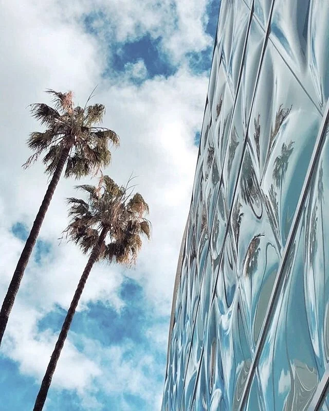 ☁️🌴☁️