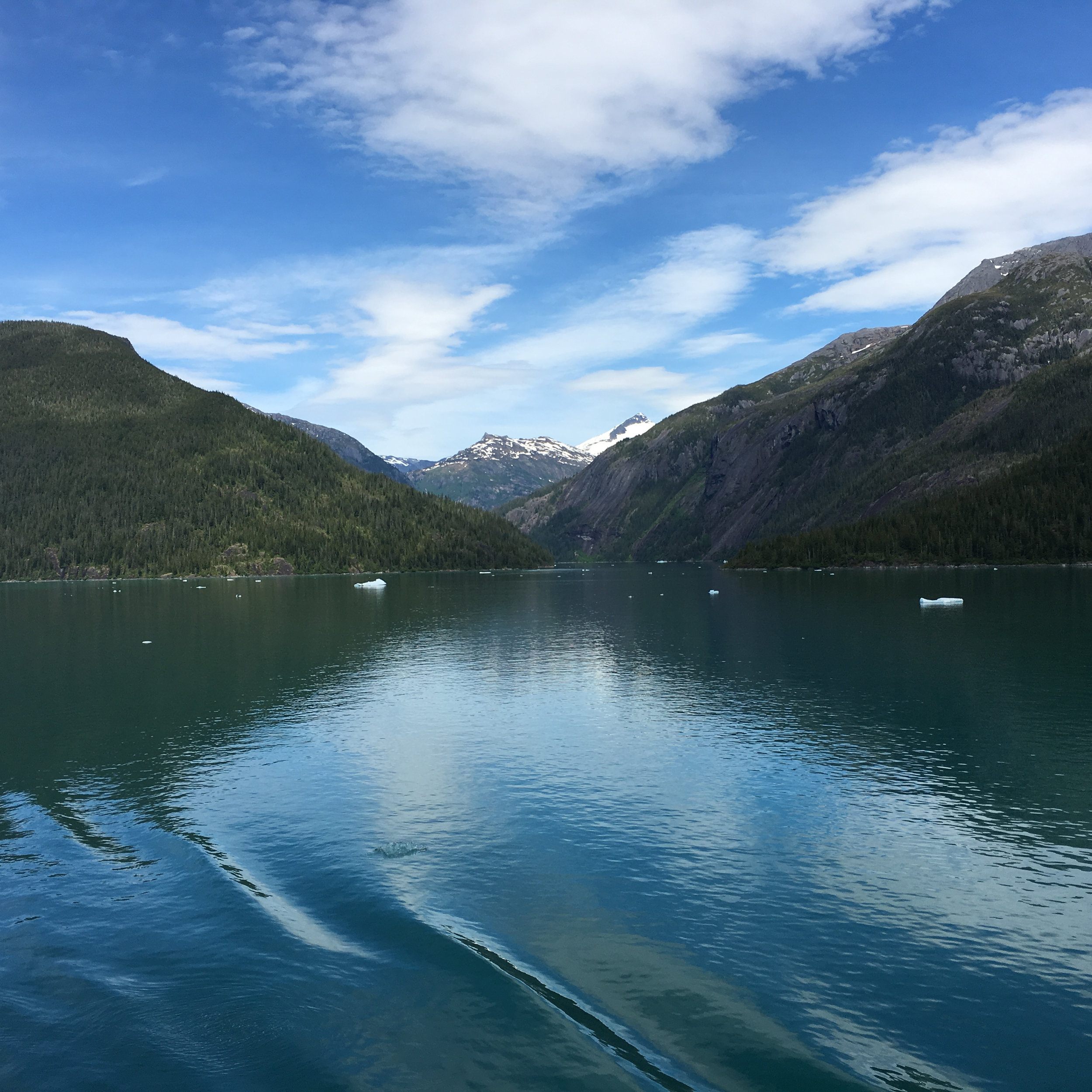 Alaska green