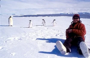 Ross Island, Antarctic