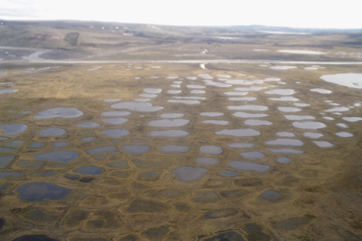 Banks Island Ponds