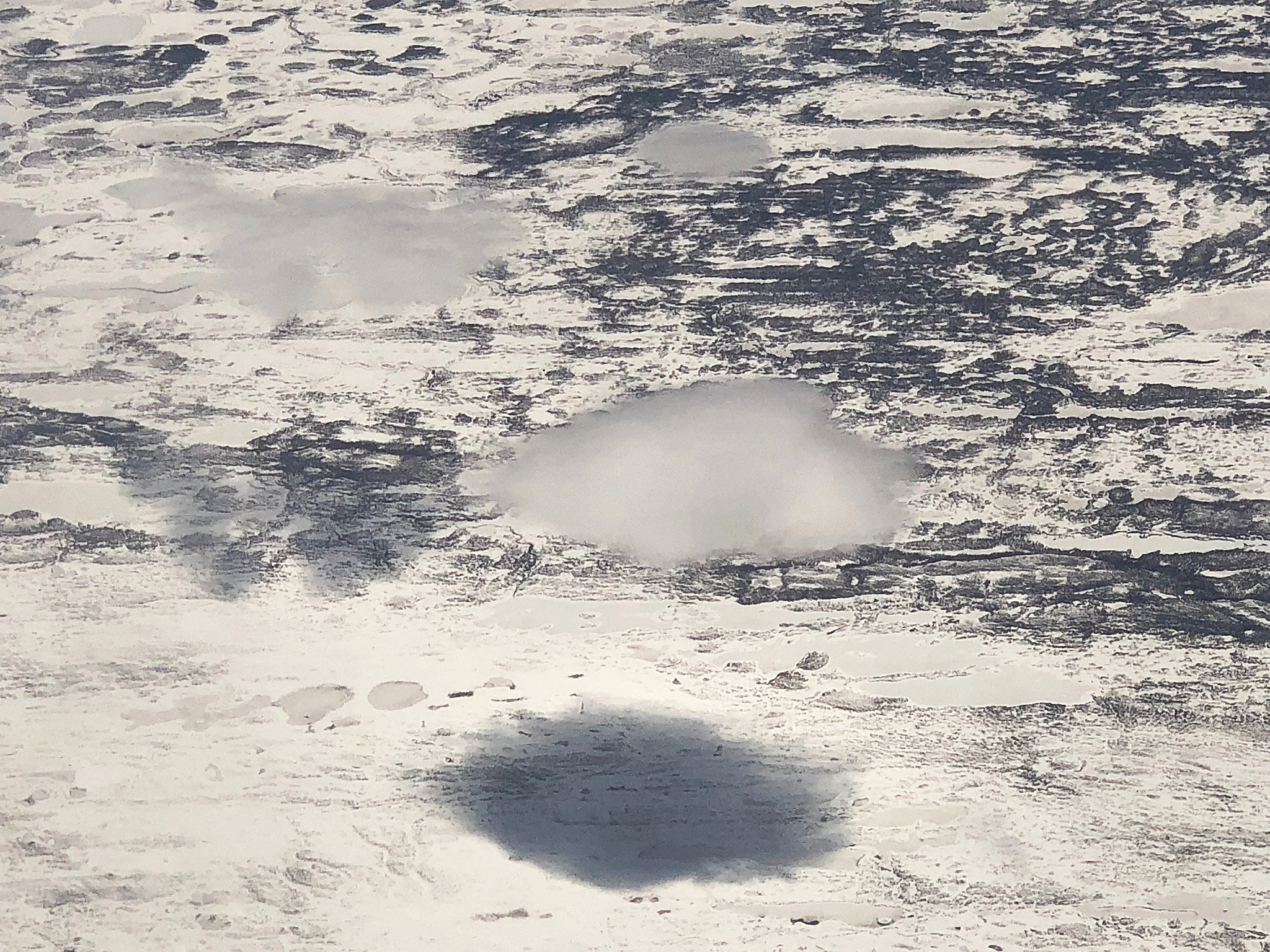 Puffy cloud hovering over sea ice