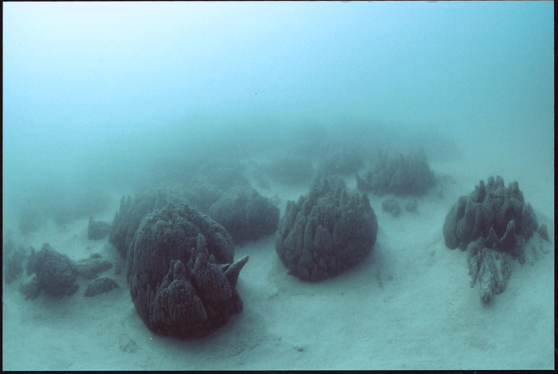 Microbialites of Pavilion Lake, Canada