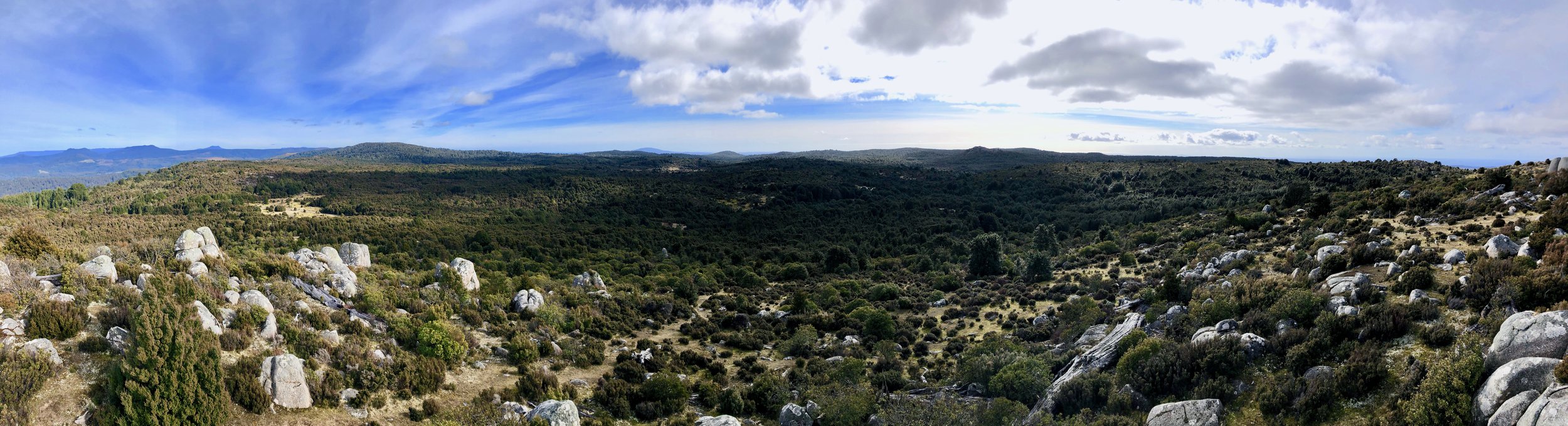 Beloved Tassie - Blue Tier Reserve, Tasmania