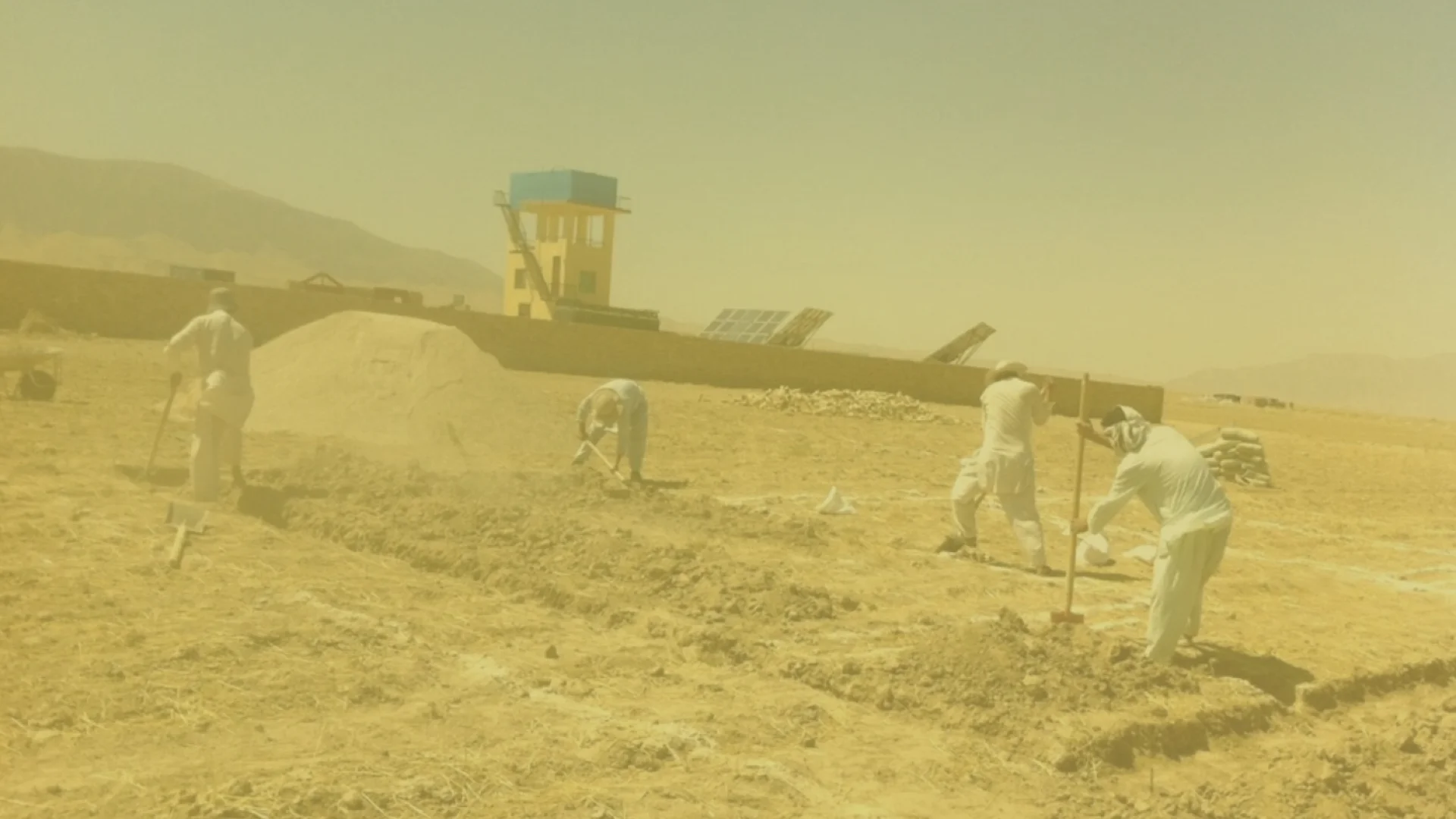 Images ZZW sitea.001.jpeg