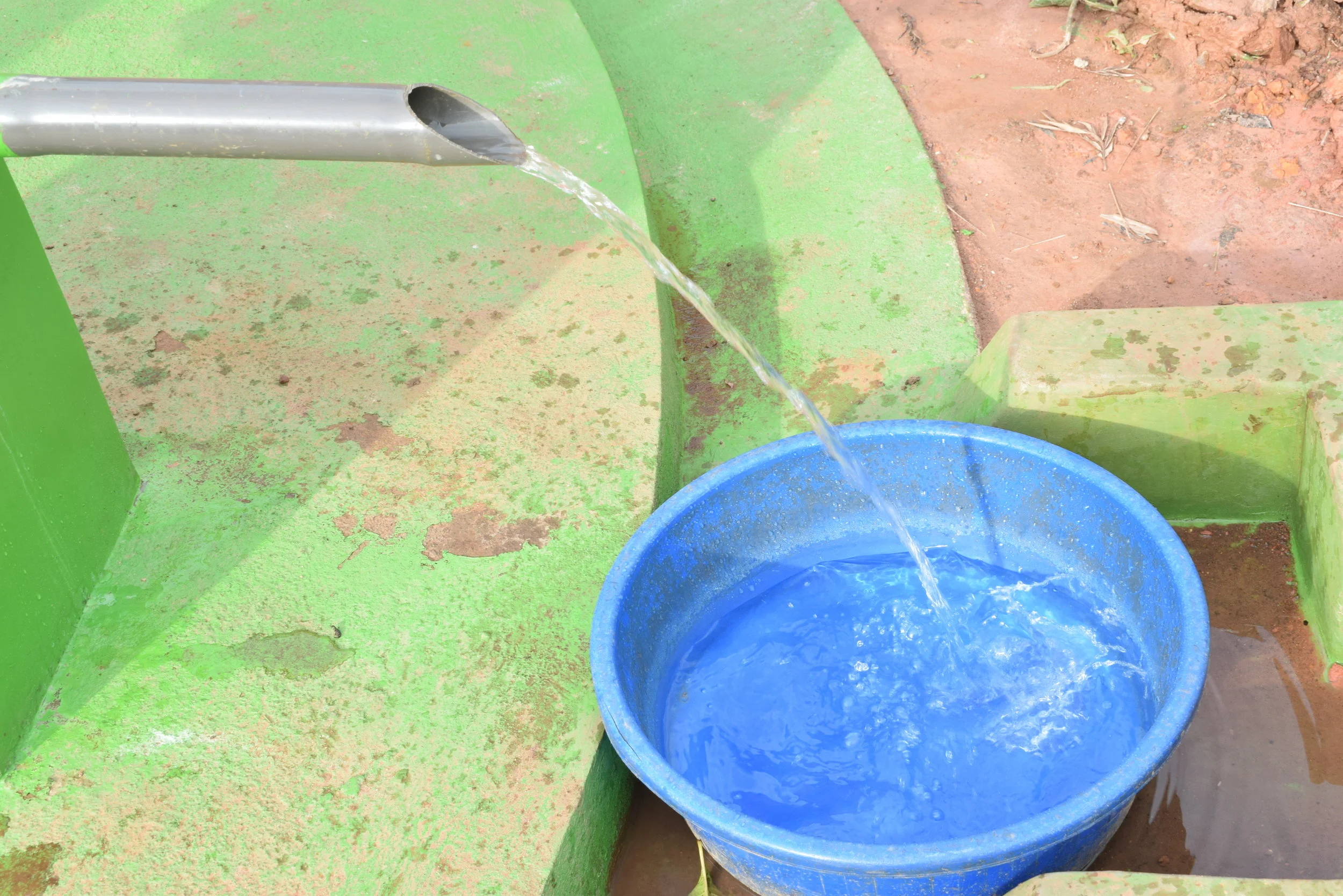 Copy of DSC_0339.JPG