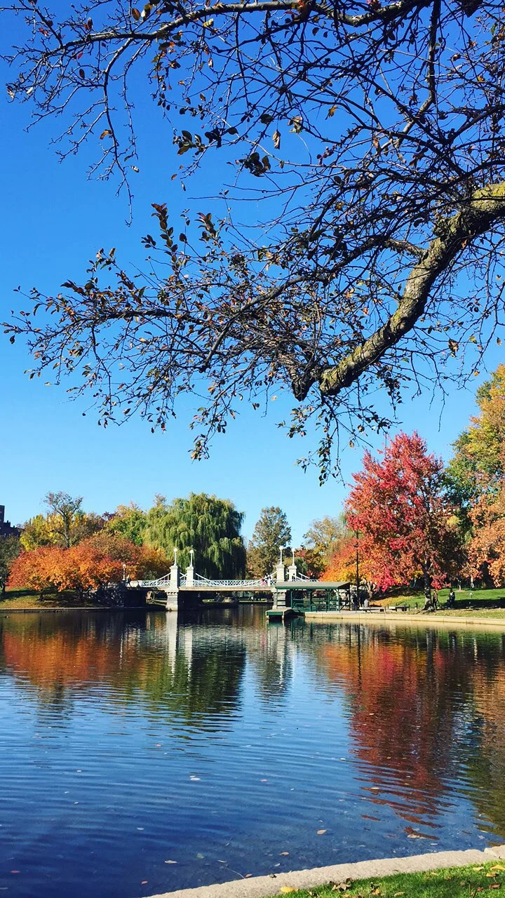 Boston Common