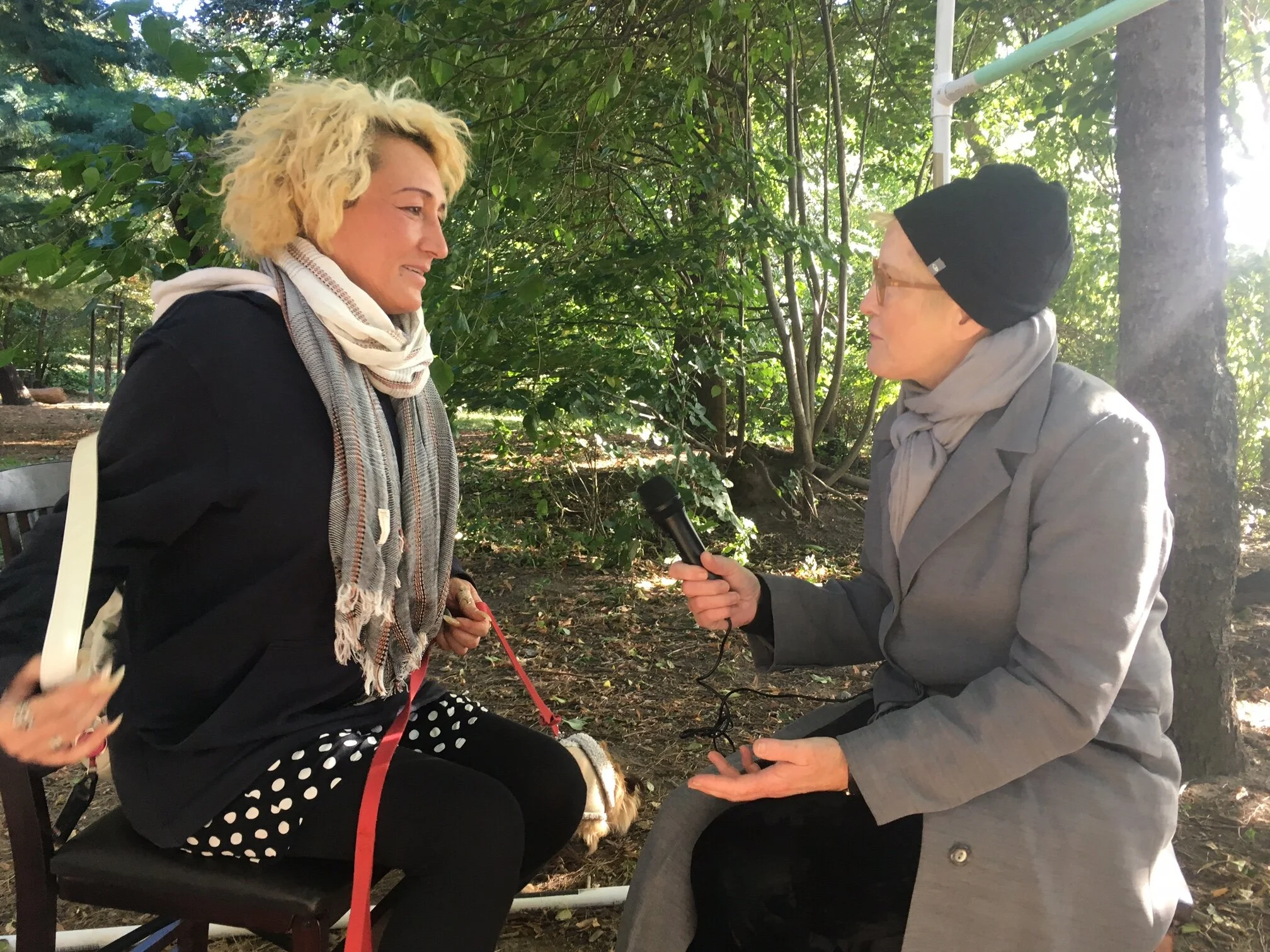 Art as Cognition: CONVERSATION EVENT @ Prospect Park with Dr. Dena Shottenkirk