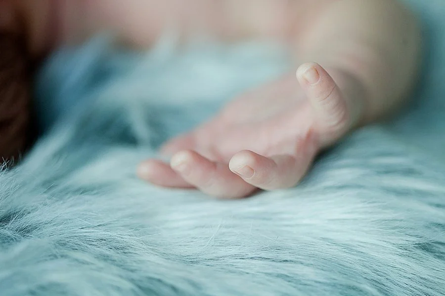 lezuphotography-5269.jpg