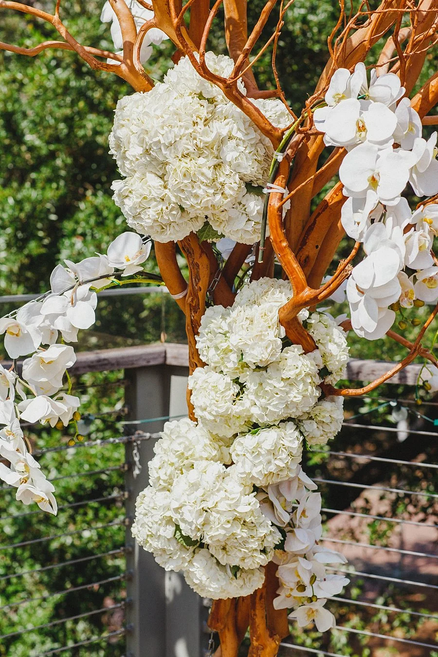 lezuphotography2016_0041.jpg
