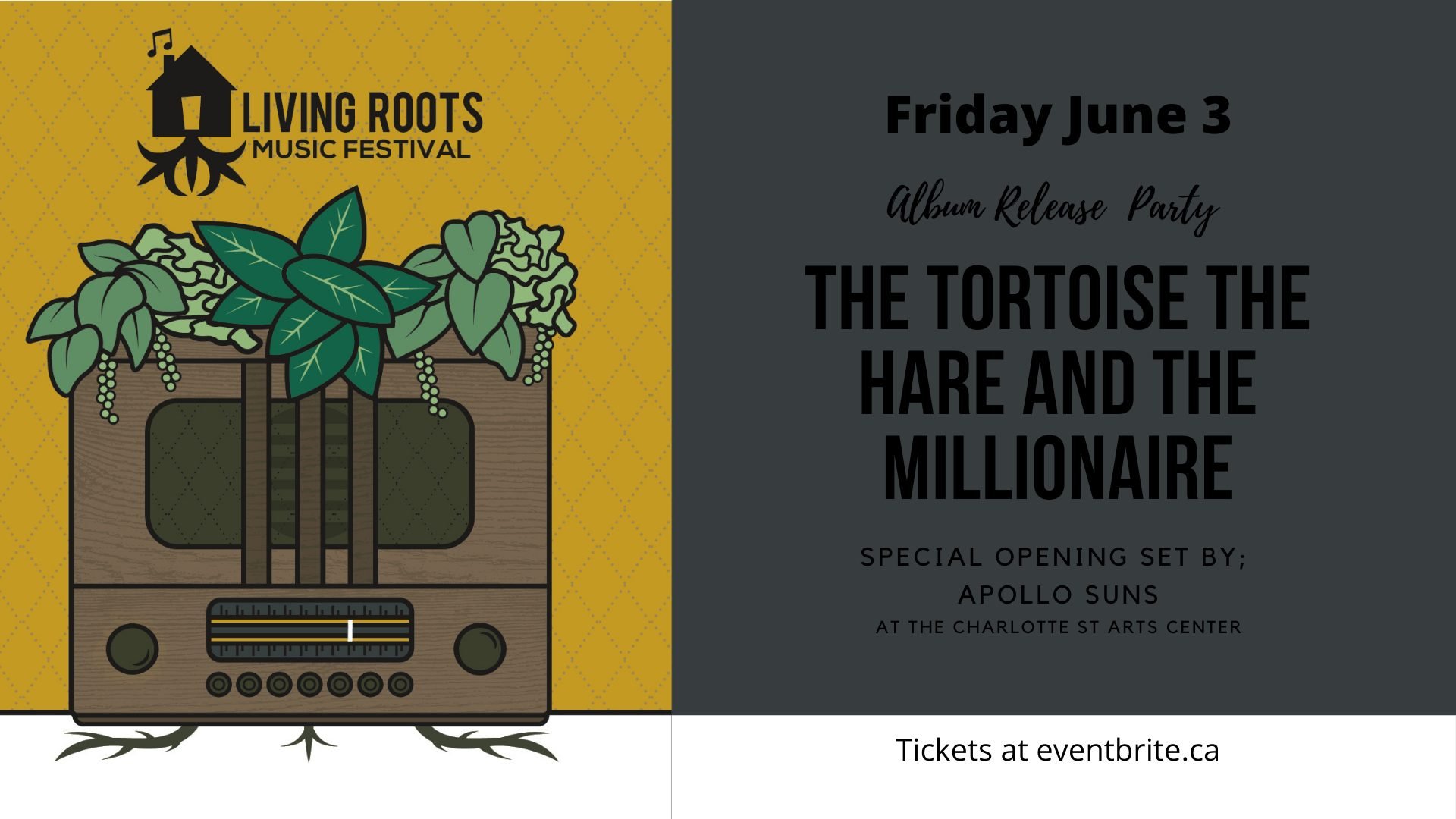 Living Roots Music Festival: The Tortoise, The Hare, And The Millionaire Album Release