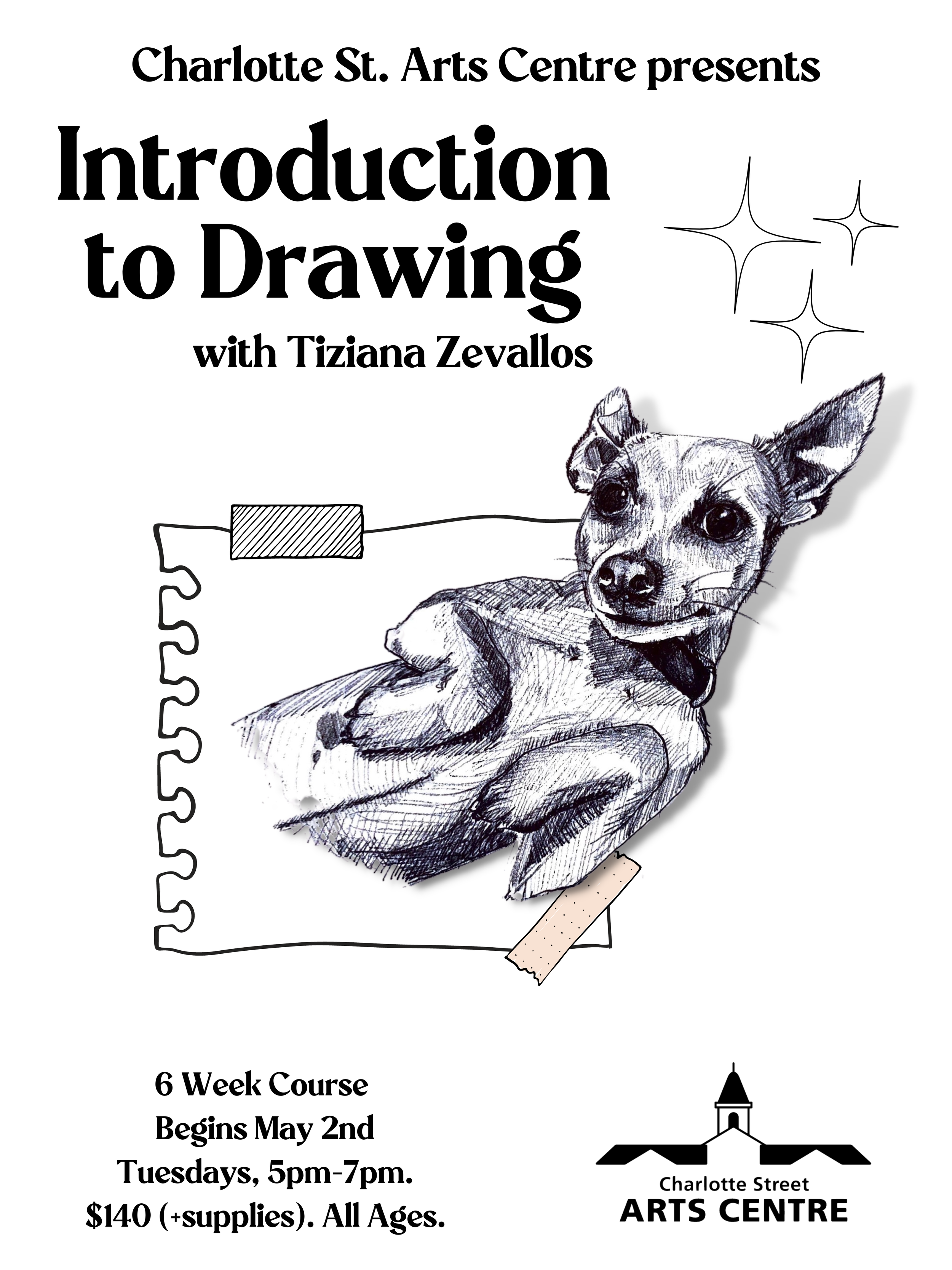 Introduction to Drawing w/ Tiziana Zevallos