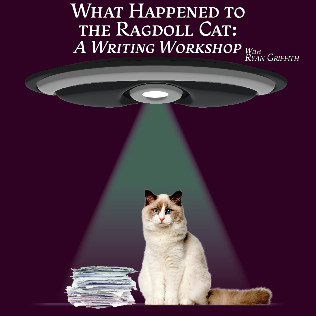What Happened to the Ragdoll Cat? Writing Class