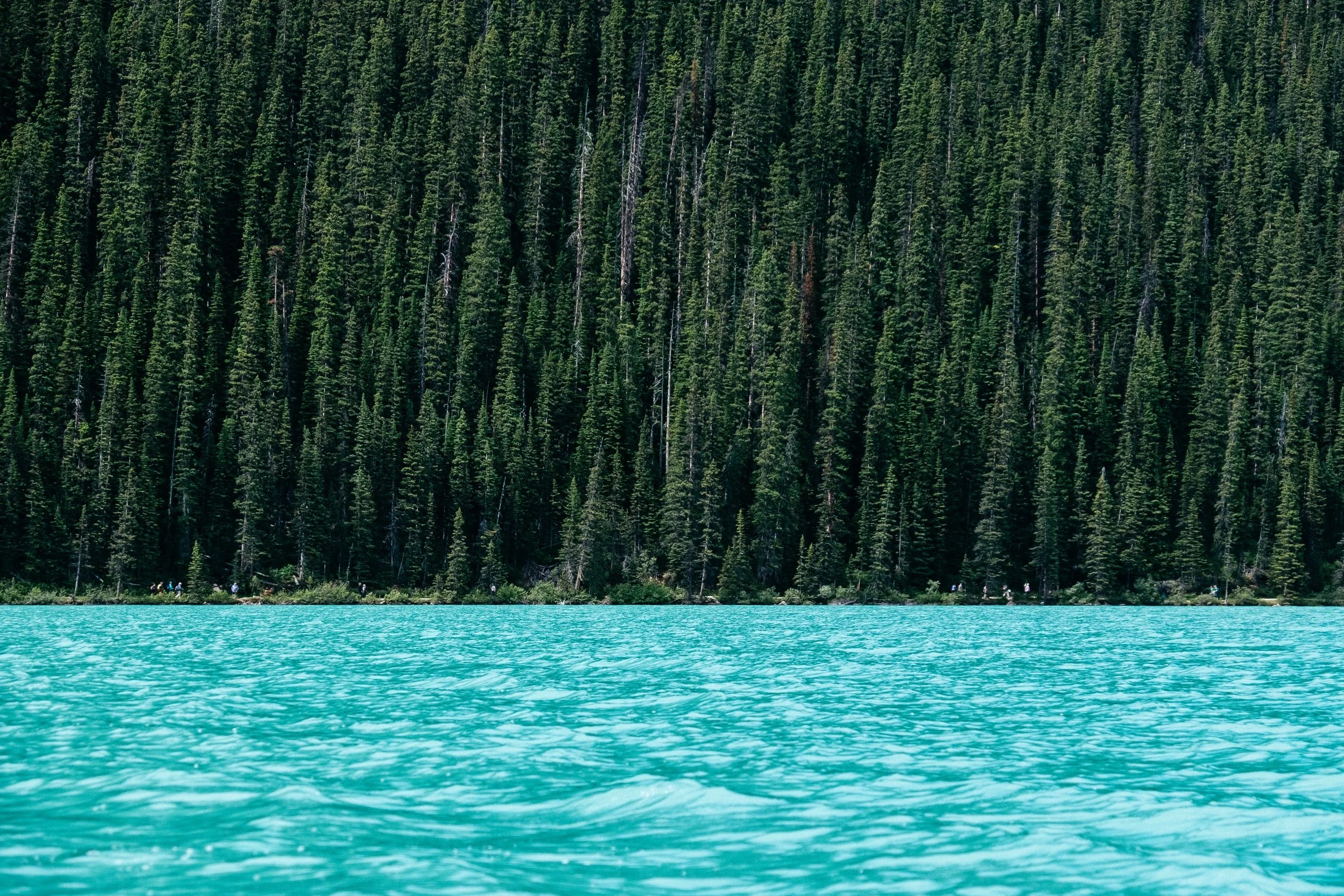 5 Places Environmental Toxins Hide