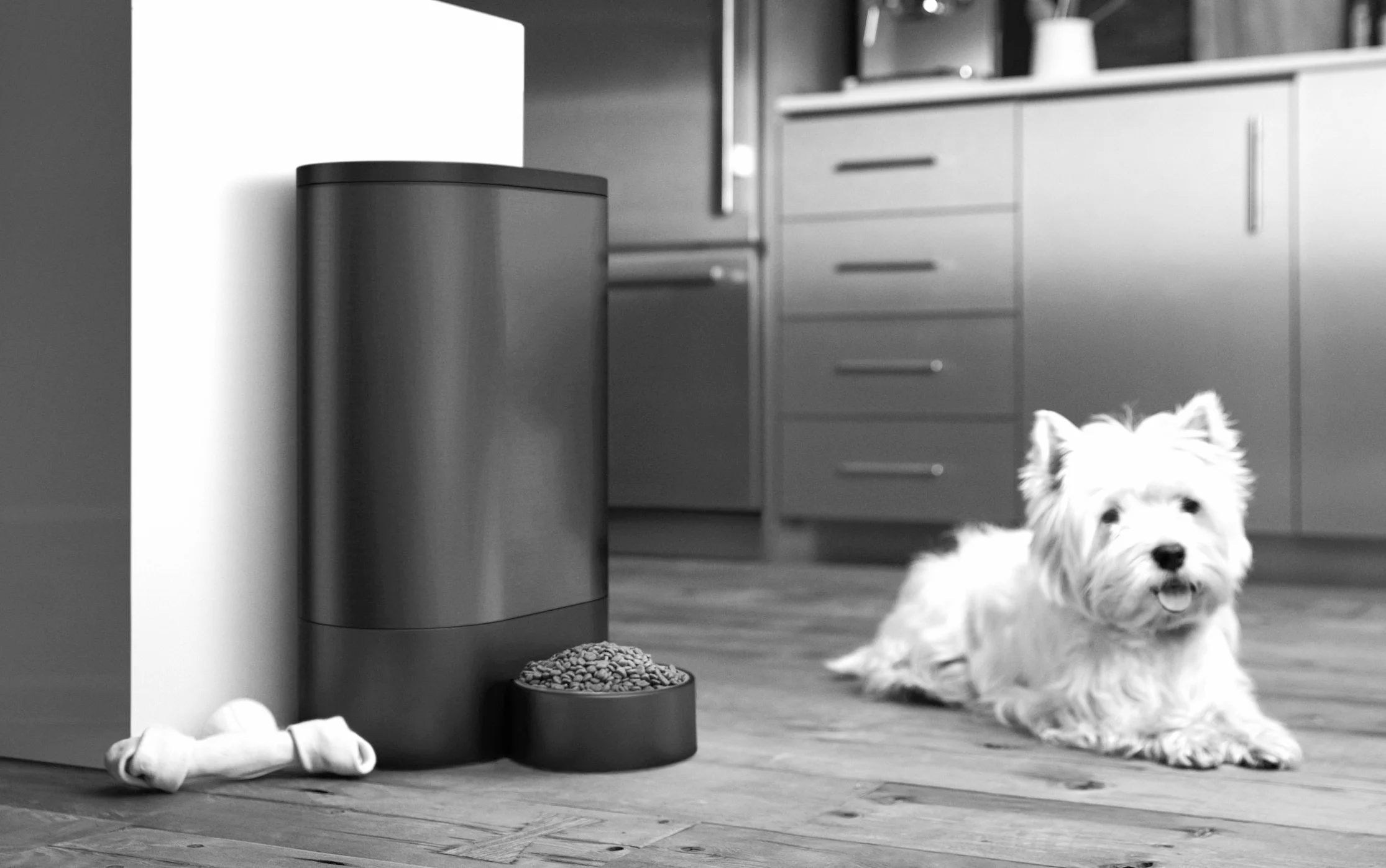 2_Quirky_Appliances_LS_Dog_Feeder_0041_BK.jpg