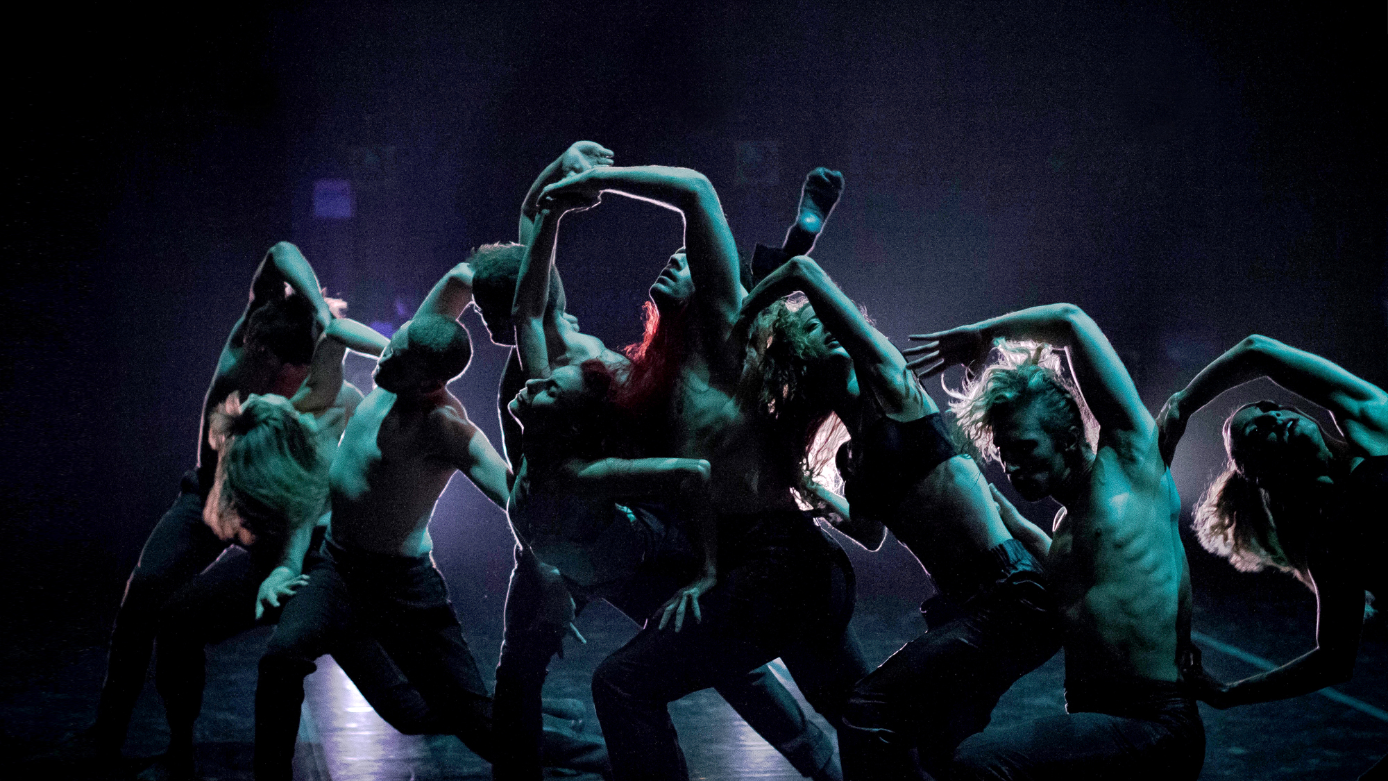   Dance Me   Ballets Jazz de Montréal  (17 avril 2018) 