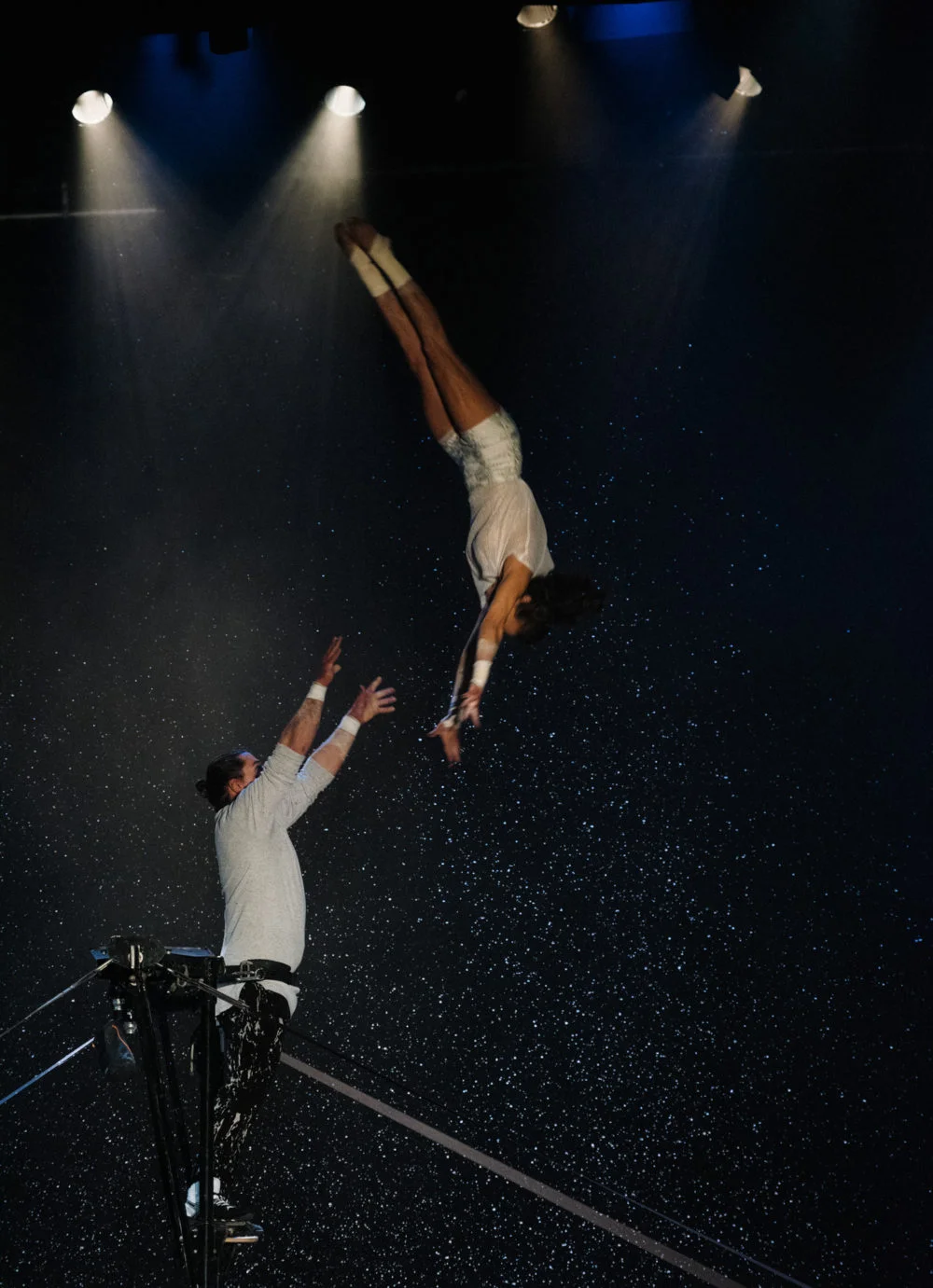 Blizzard - Flip Fabrique 5/7