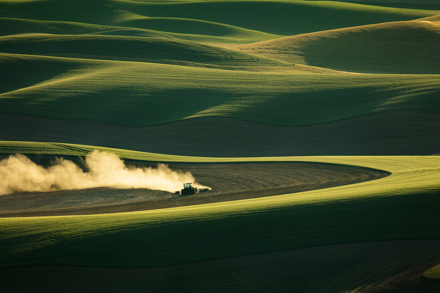 Harvest Time In Palouse - August 1 - 5, 2024