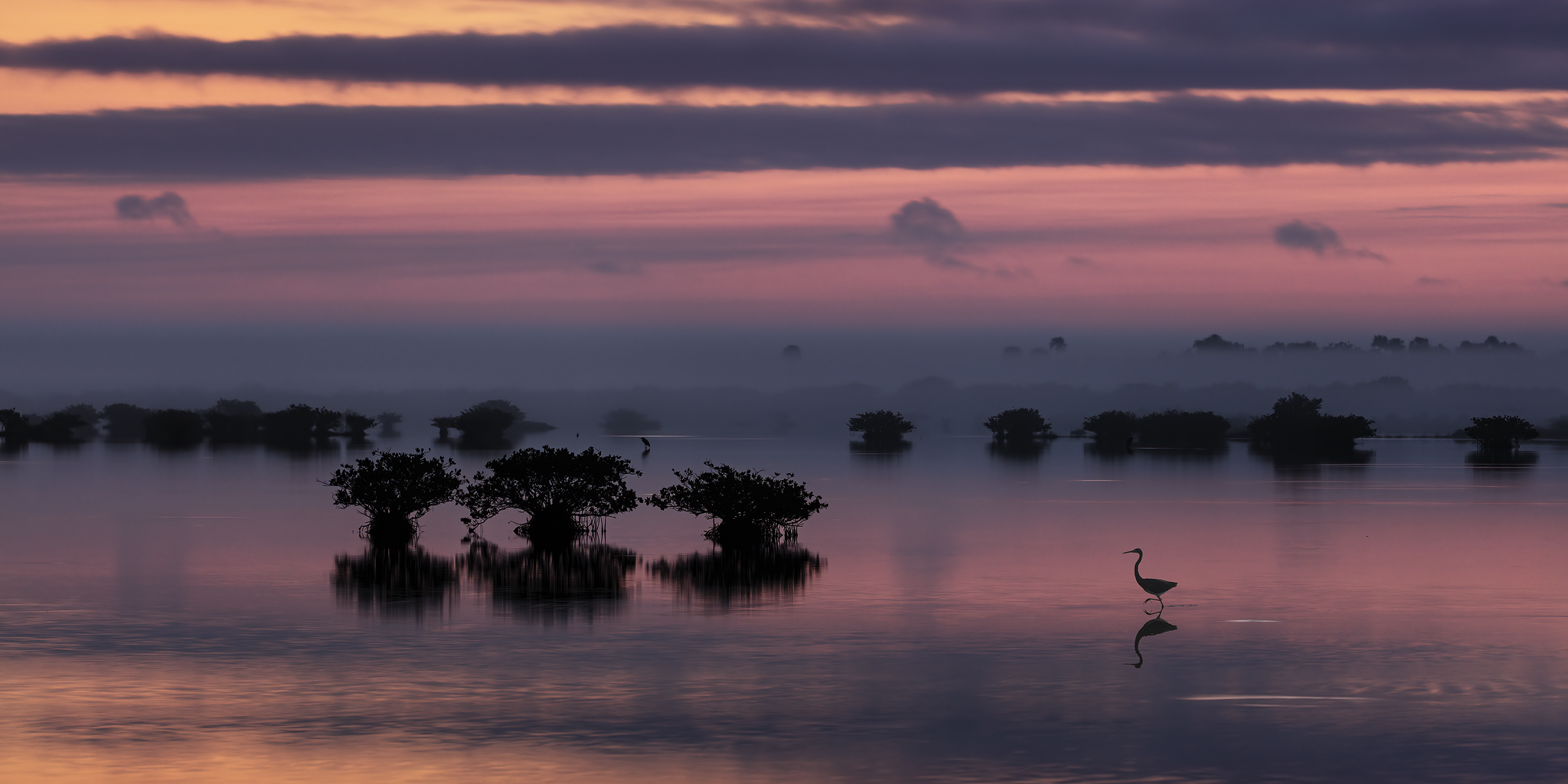 Early Morning on Gator Creek, Merritt Island Wildlife Refuge, Florida