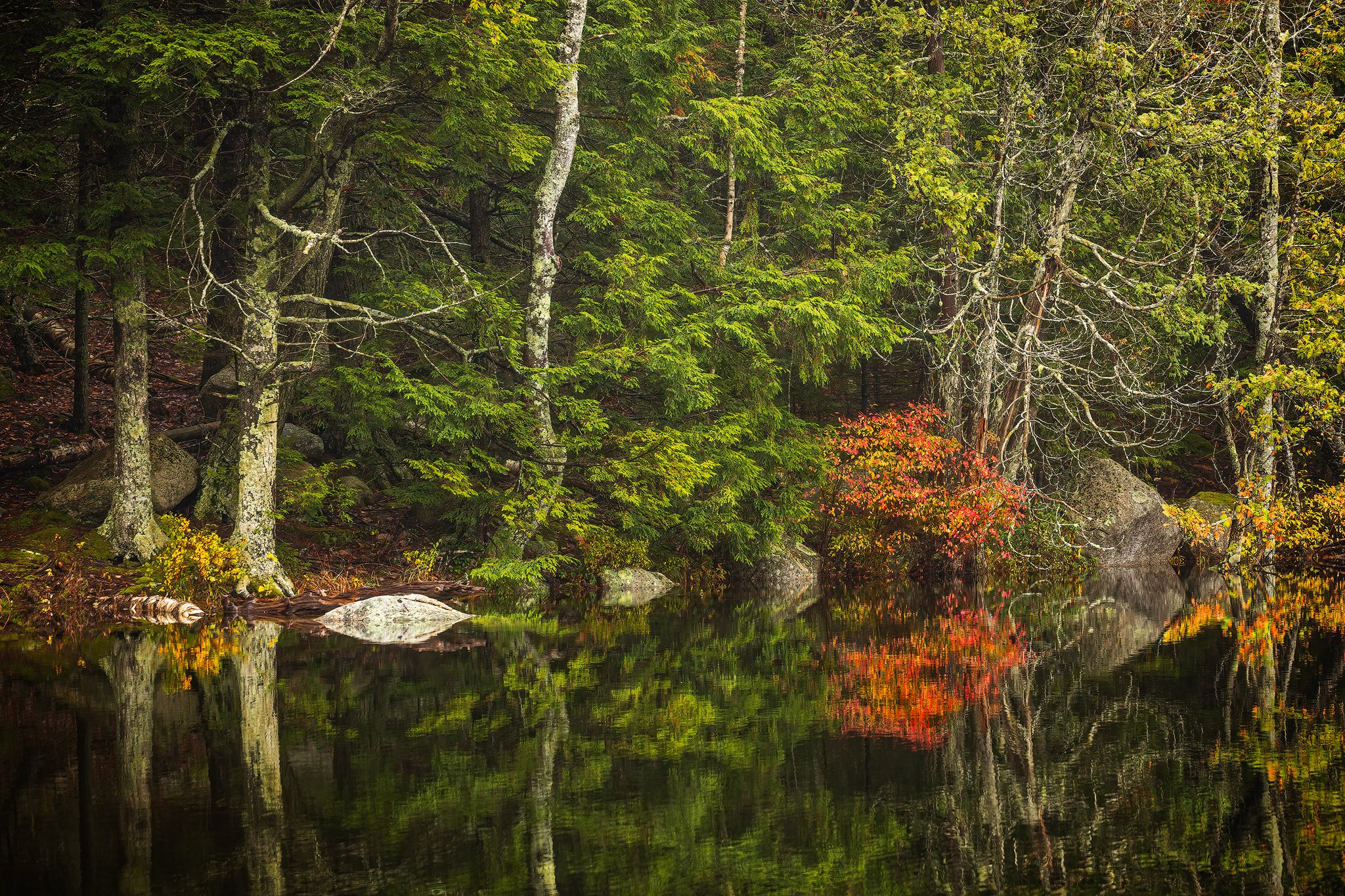 Reflections in a New England Lake