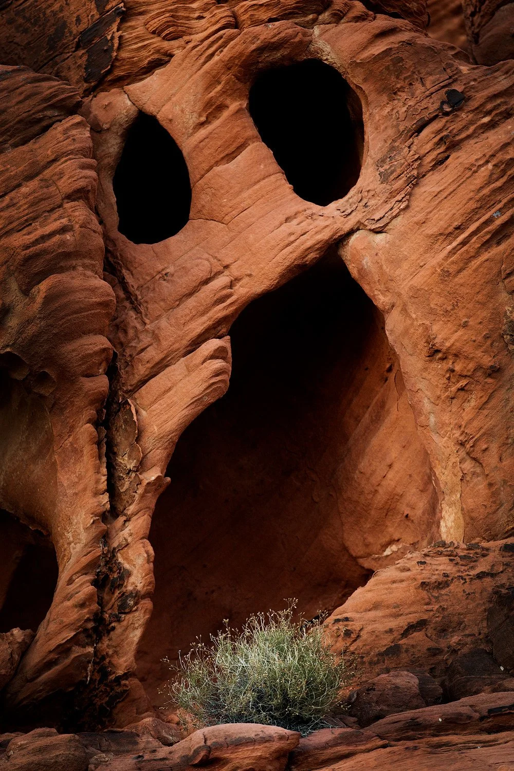 Holes in Valley of Fire sandstone resemble a face. James Neihouse Photography Workshops