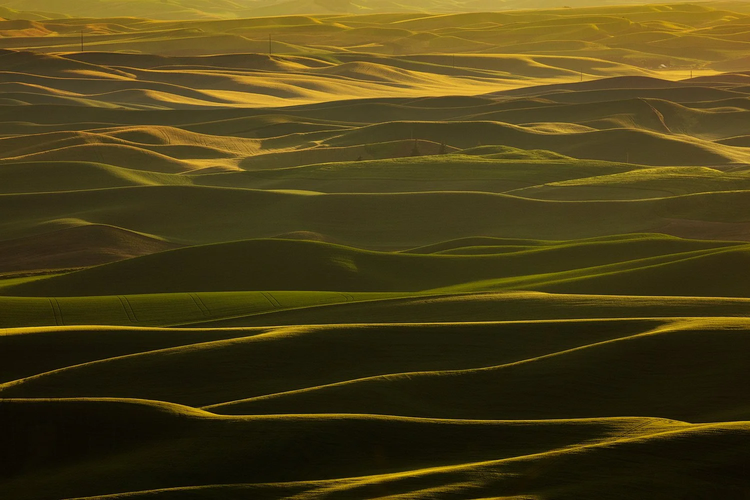 Afternoon light skims across the rolling hills of the Palouse. Image from James Neihouse Photography Workshops