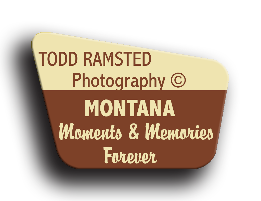 Todd Ramsted Photography