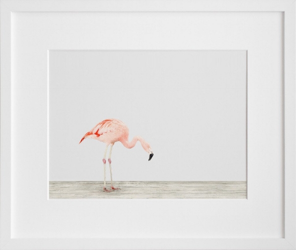Image from 20x200.com