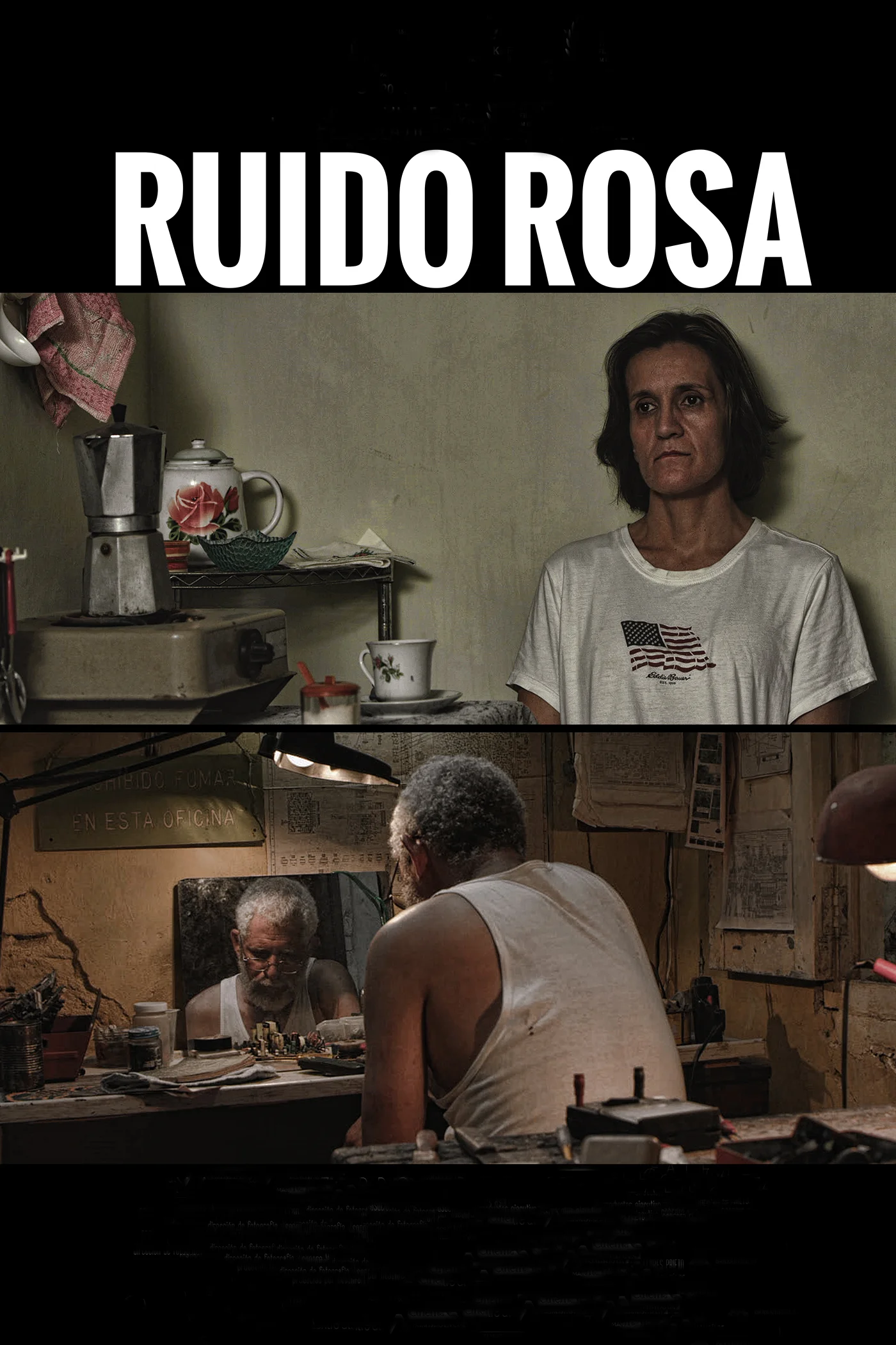 Poster Ruido Rosa.jpg