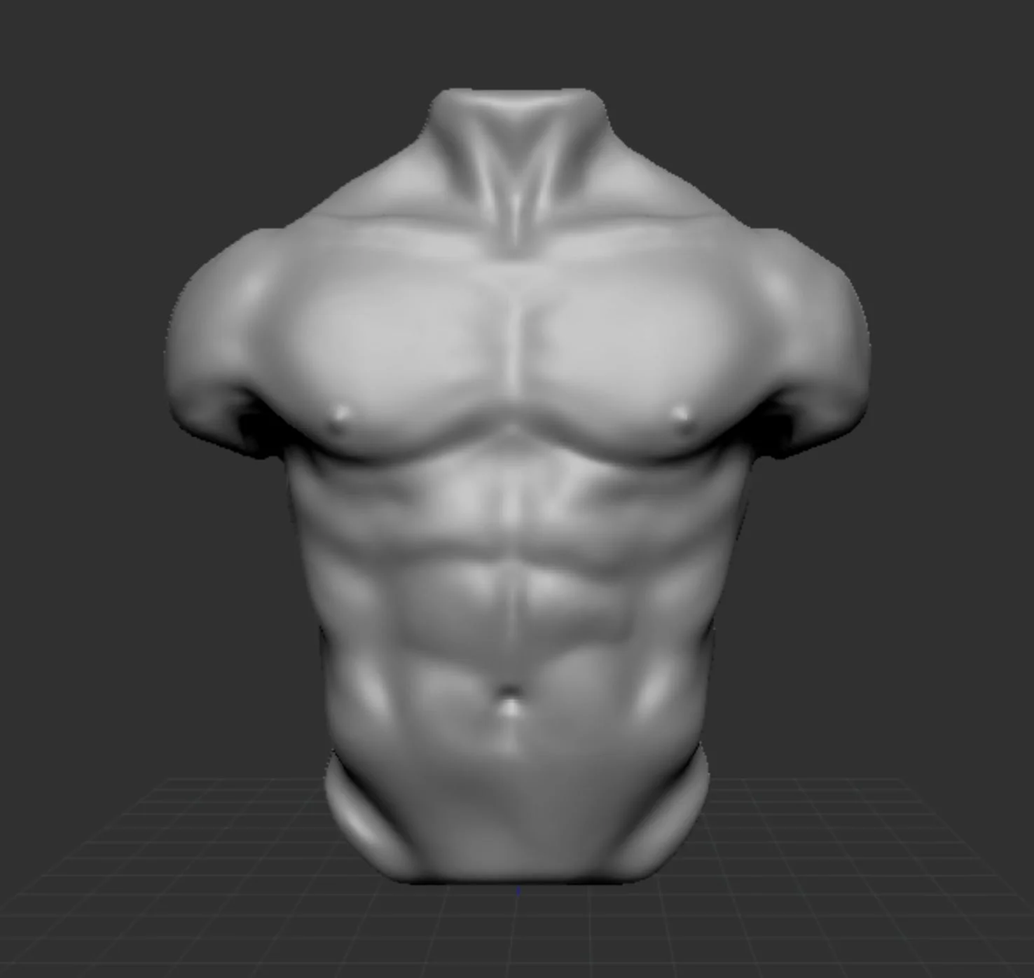 Torso1.JPG