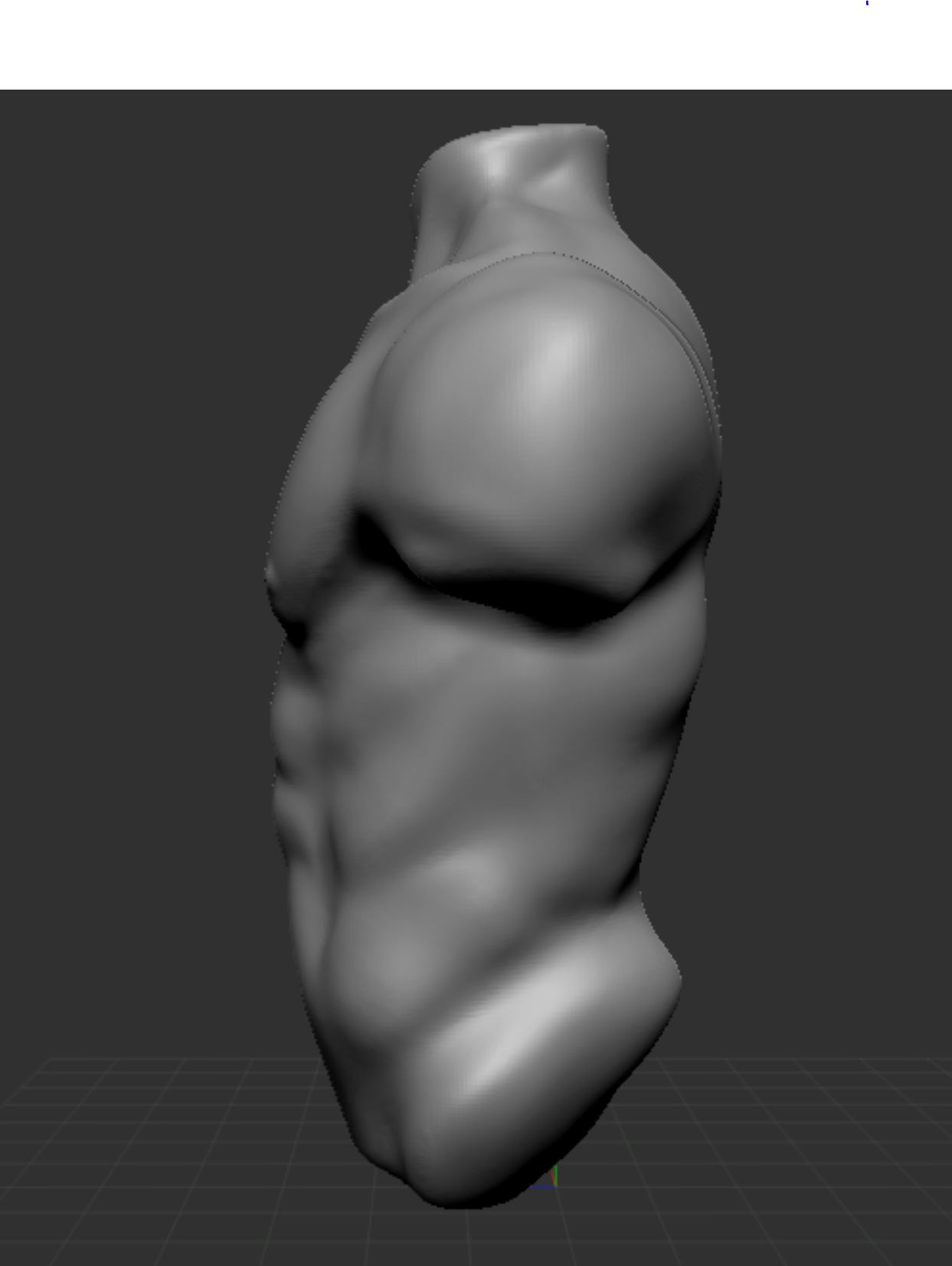 Torso2.JPG