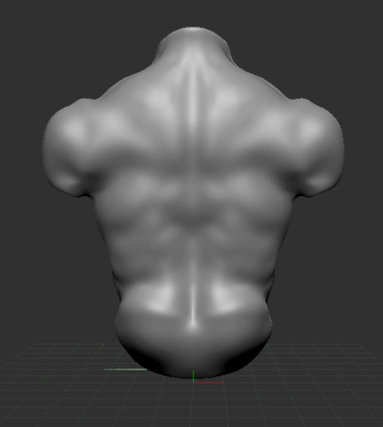 Torso3.JPG
