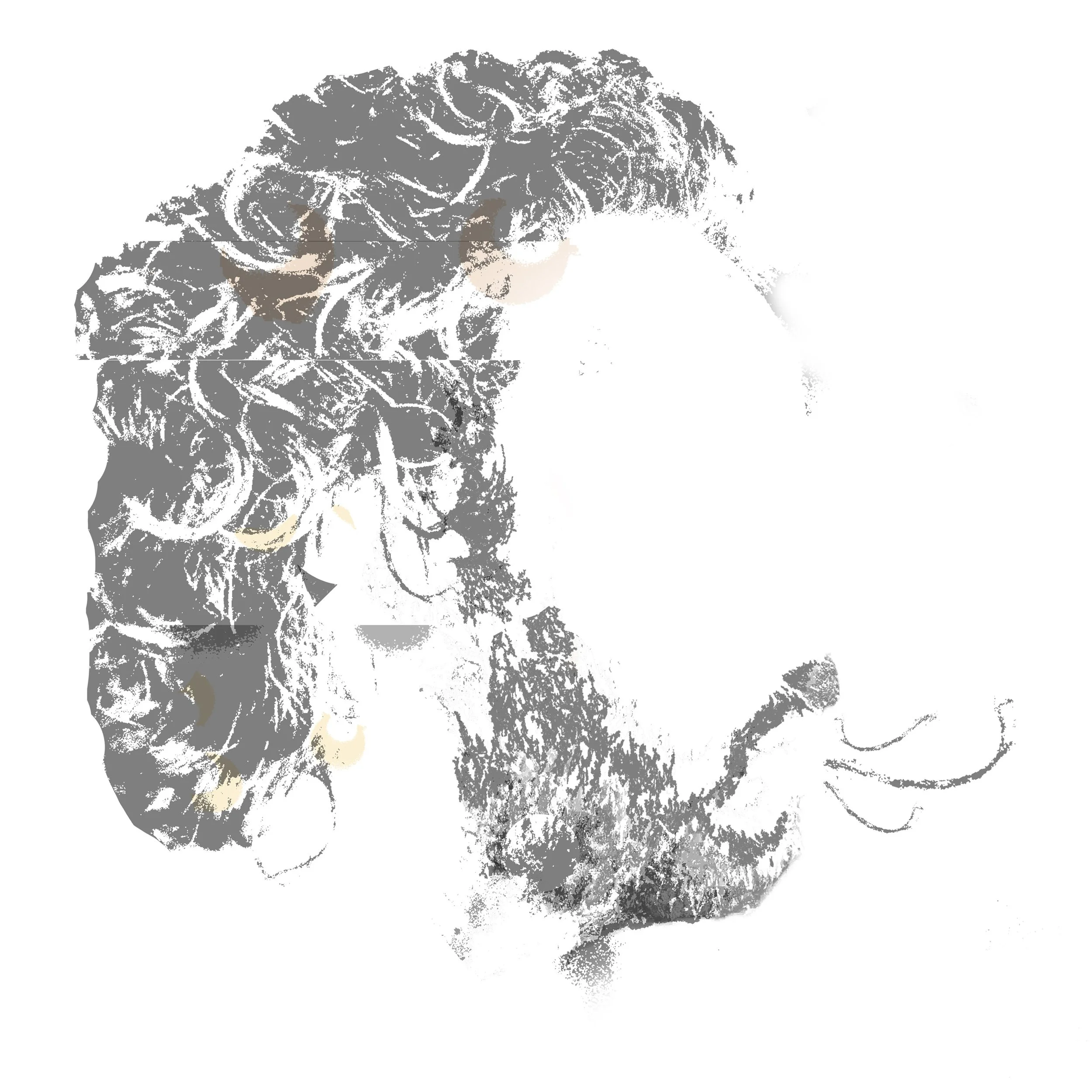 CH Soft as I can Sing No Text.jpg