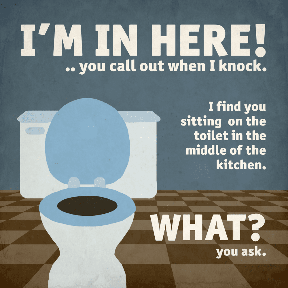 Kitchen Toilet Striped Aardvark Kitchen Toilet Striped Aardvark