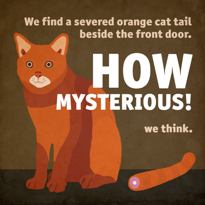 Orange Cat Tail