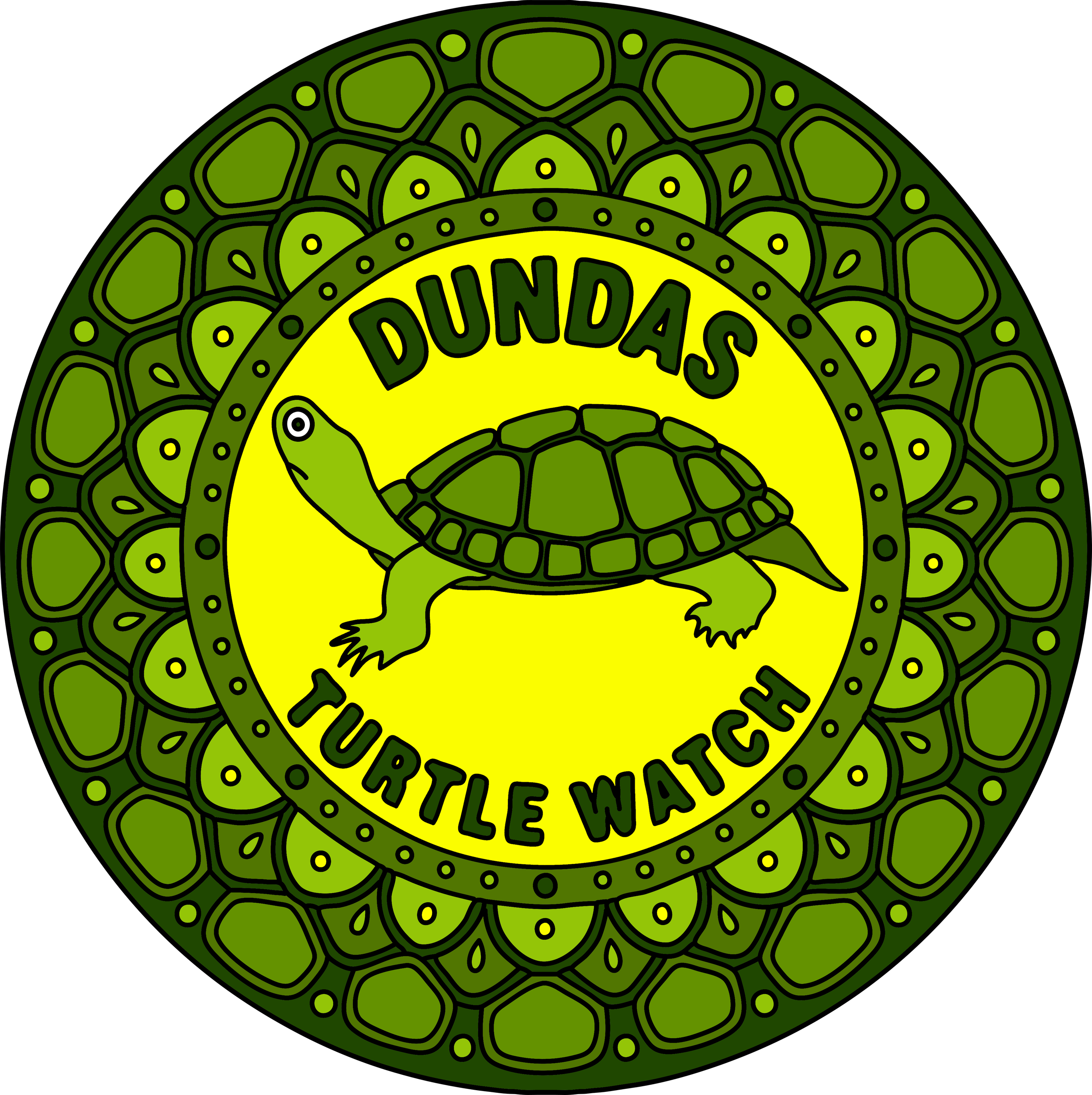 Turtle Watch