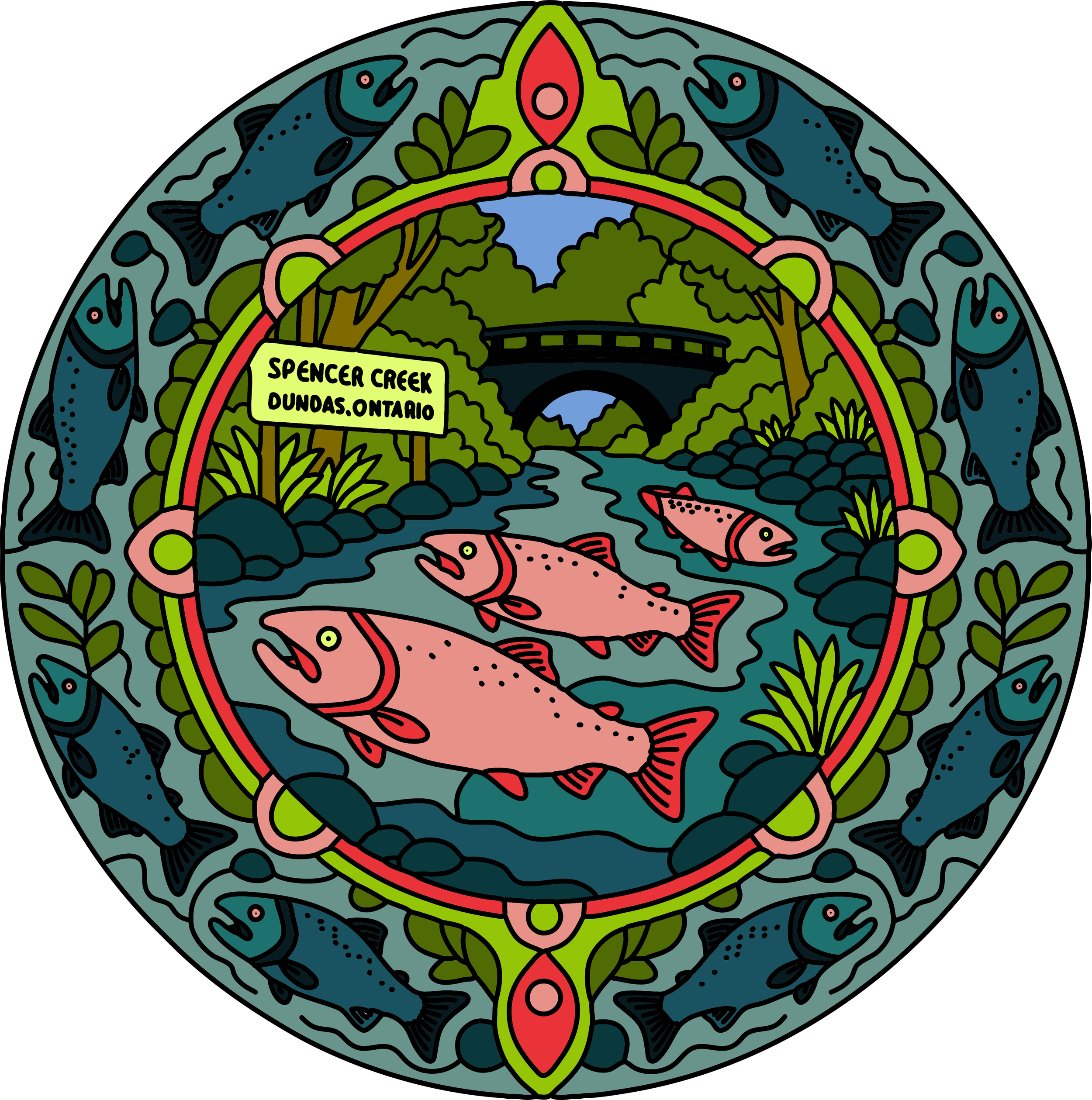 Salmon in Spencer Creek