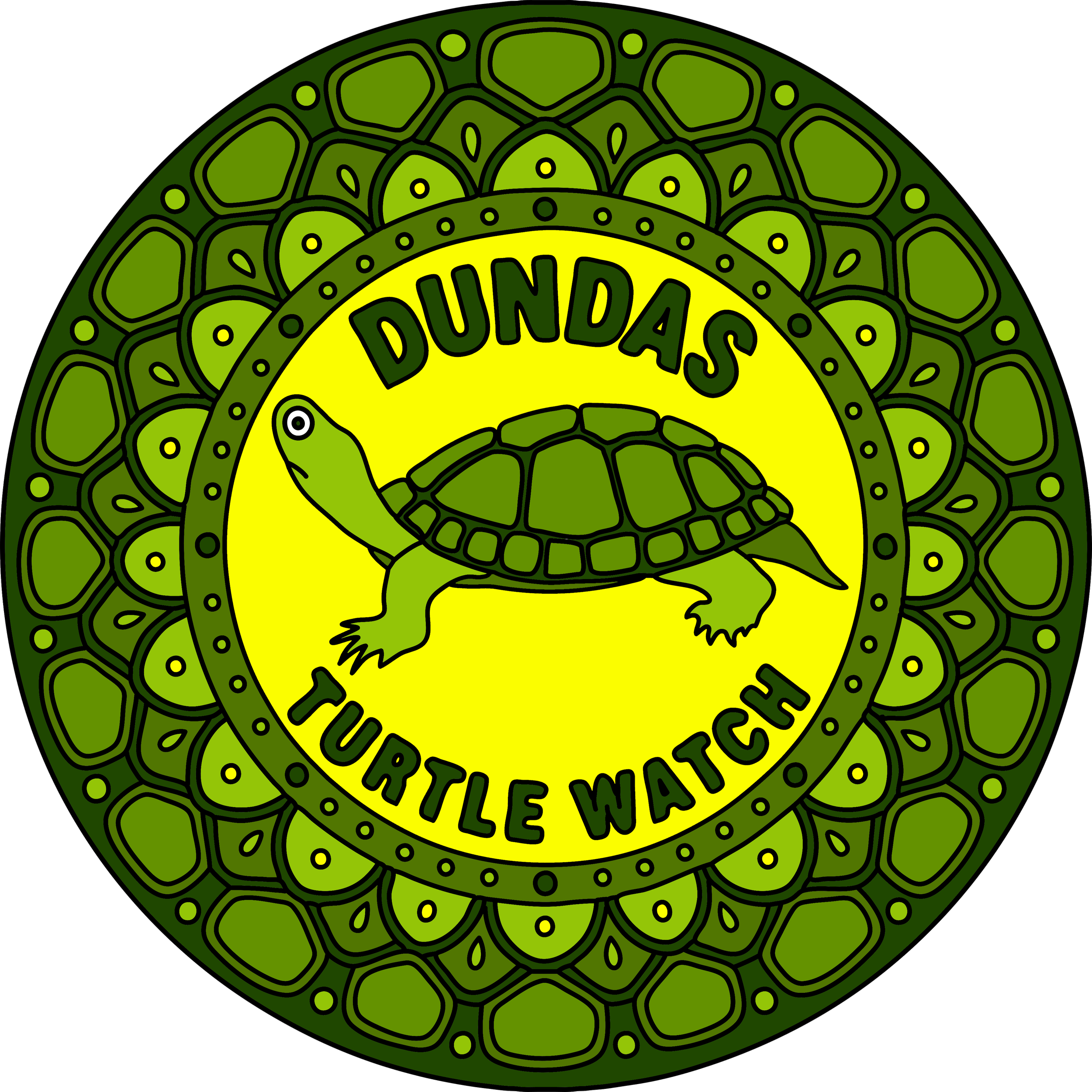 turtle c.png