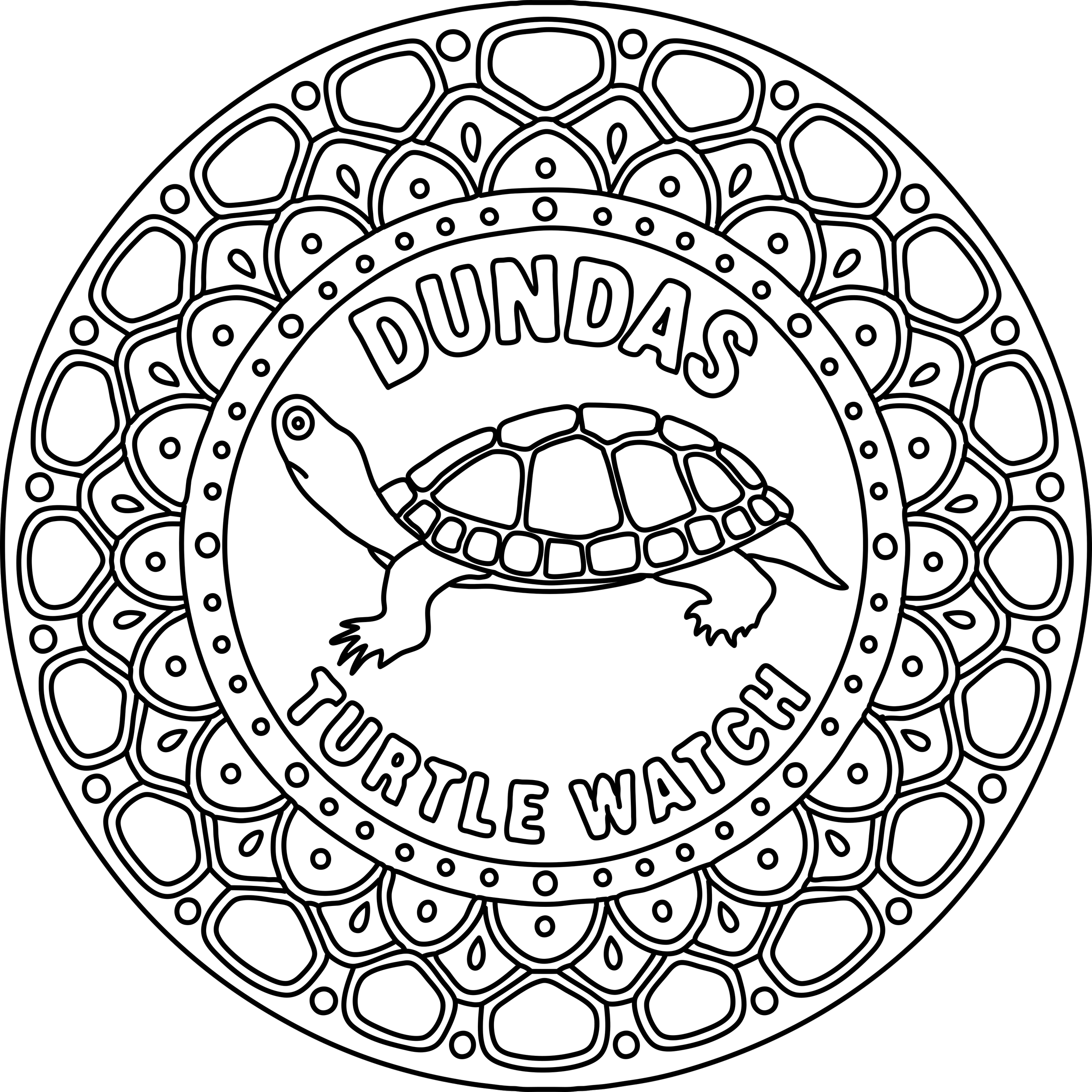turtle.png