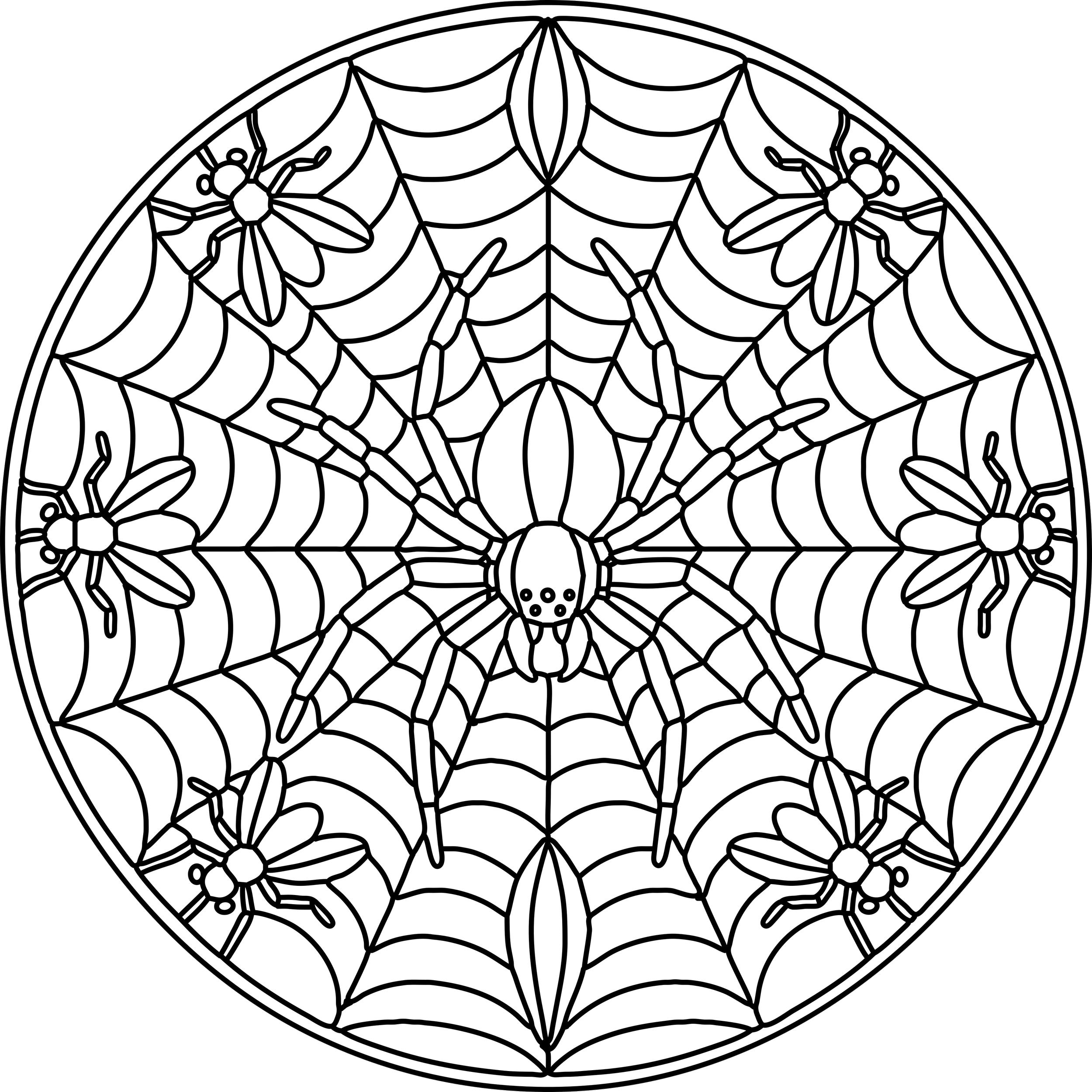spider web - Copy.png